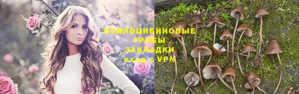 mix Аркадак