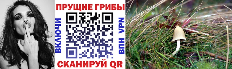 Галлюциногенные грибы Cubensis  цена наркотик  Октябрьск 